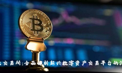 Tokenim出交易所：全面解析新兴数字资产交易平台的潜力与前景