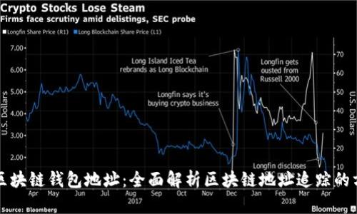 怎样追踪区块链钱包地址：全面解析区块链地址追踪的方法与技巧