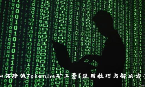 如何降低Tokenim矿工费？使用技巧与解决方案