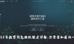 2023年数字钱包提现额度详解：你需要知道的一切