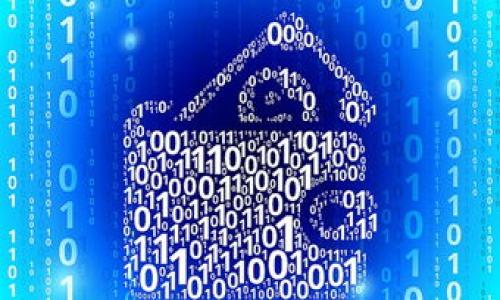 

 Tokenim支持的代币种类及使用指南