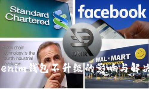 Tokentokenim钱包不升级的影响与解决方案解析