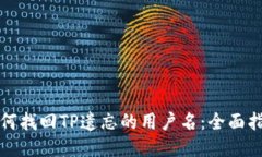 如何找回TP遗忘的用户名：全面指南